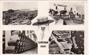 Portugal Villa Nova de Gaia Sandeman Vineyards & Bodegas Real Photo