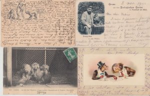 MONKEYS SINGES 79 Vintage Postcards Mostly pre-1940 with BETTER (L6027)