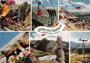 BG12370 grusse vom nebelhorn allgauer alpen marmote cable train goat   germany