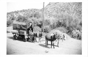 Donkey and Carriage Donkey Unused real photo