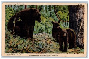 1941 Cautioning Family Bear Forest Greetings Lilesville North Carolina Postcard