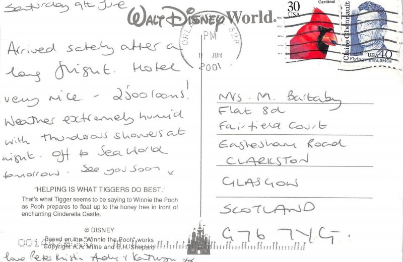 US11 USA Disneyworld Winnie the Pooh Cinderella castle 2001 Florida