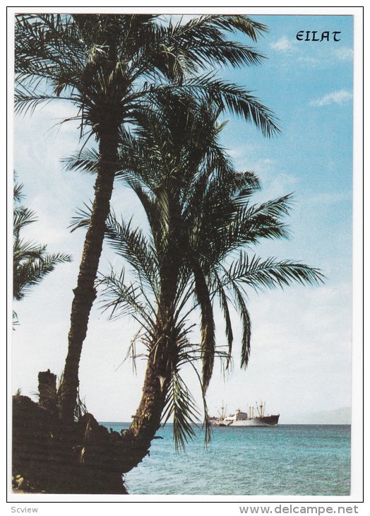 Boat Leaving Eilat, Palms, The Gulf Of EILAT, Israel, 1950-1970s