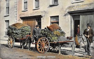 Cabbage vendors Stagecoach Writing on Back 