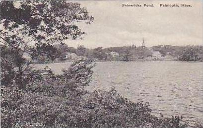 Massachusetts Falmouth Shinericks Pond Albertype