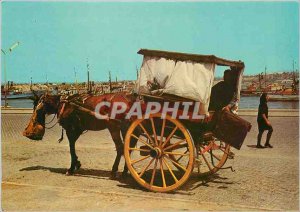 Postcard Modern Algarve Portugal Transportation tipical