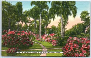 Postcard - A Beautiful Garden In The Sunshine State - Florida