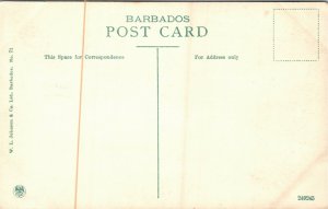 Postcard Barbados Hastings Rocks Benches Street Lamps ~1910 M48