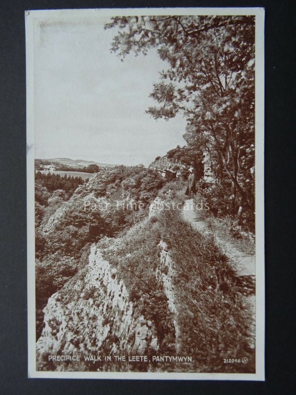 Wales Flintshire PANTYMWYN Precipice Walk in the Leete c1930 Postcard