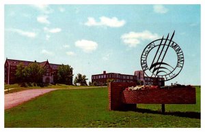 Postcard SCHOOL SCENE Havre Montana MT AQ0393