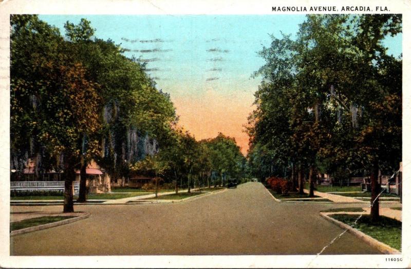 Florida Arcadia Magnolia Avenue 1929 Curteich