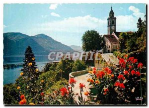 Postcard Modern Ronco S Ascona Lago Maggiore