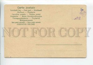 3183025 Hunting fox with dog POINTER by MULLER Vintage postcard