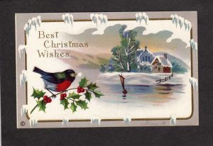 Best Christmas Wishes Greetings Postcard Bird Church Scene