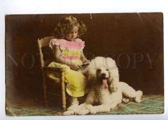 170008 POODLE Dog & Girl w/ Comb Vintage Tinted PHOTO PC