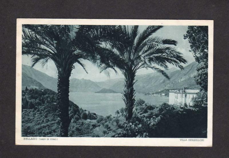 Italy Bellagio Lago di Como Serbelloni Italie Carte Postale Palm Trees Postcard