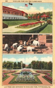 Highland Park & Zoo Flower Beds Lilypond Pittsburgh Pennsylvania PA Postcard