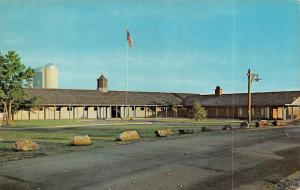 MORRILTON, AR Arkansas  WINROCK FARM~SHOW BARN Santa Gertrudis Cattle  Postcard