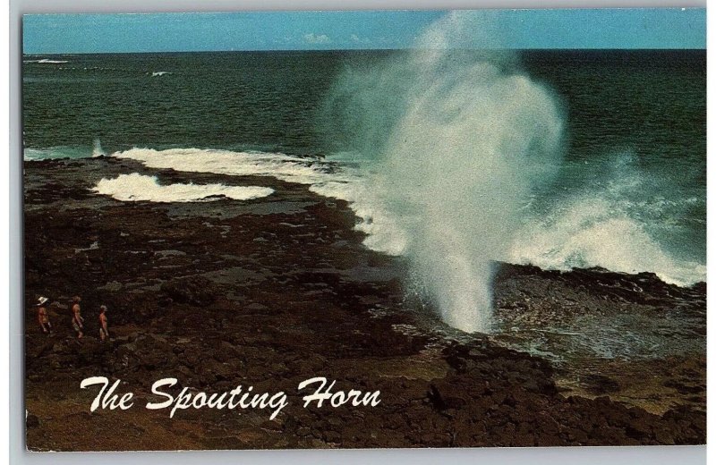 The Spouting Horn Hawaii's Salt Water Geyser Both Seen and Heard Hawaii Postcard