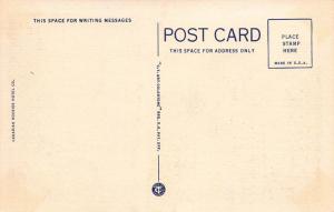 Waterton Lakes National Park, Alberta, Canada, Early Linen Postcard, Unused