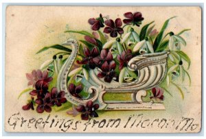 1910 Greetings From Macon Missouri Glitter Vase Flowers Vintage Antique Postcard