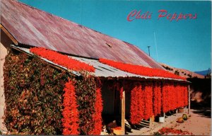Chili Peppers Postcard PC397