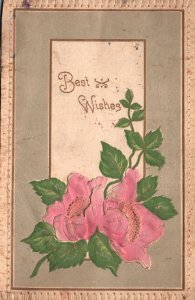 Vintage Postcard 1900's Best Wishes Greetings Beautiful Pink Flowers Blooms