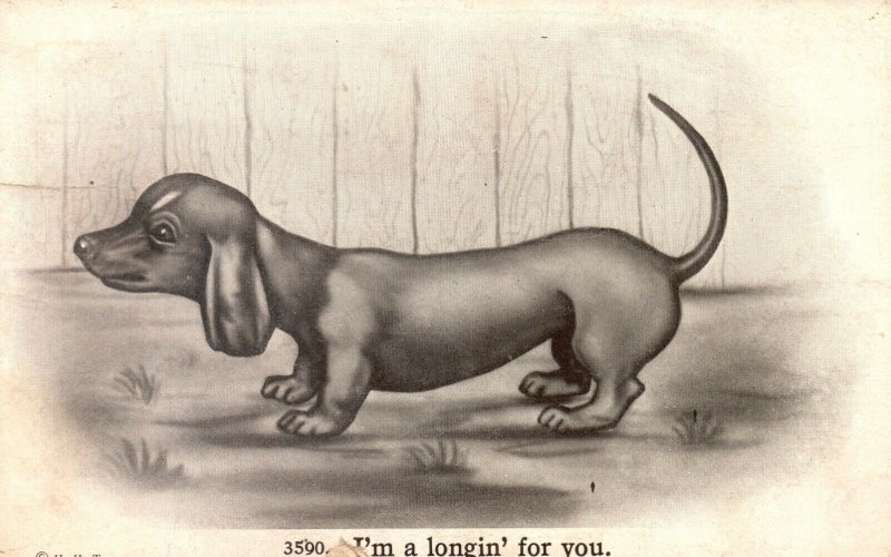 Vintage Postcard 1913 I'm a Longin for You Small Dog Pub. H.H.T.