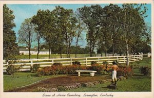 Kentucky Lexington Picturesque View In The Blue Grass Country