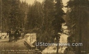 Paradise Valley - Rainier National Park, Washington