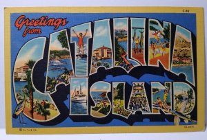 Greetings From Catalina Island California Large Letter Linen Postcard Curt Teich 