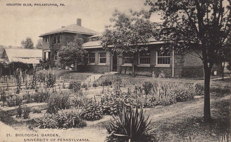 Postcard Biological Garden University Pennsylvania Philadelphia PA