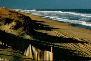 North Carolina Southen Shores Beach Scene Southern Shores Realty Company