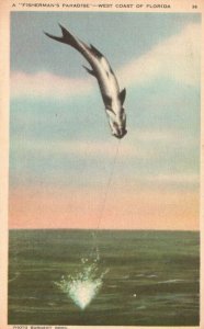 Vintage Postcard 1930's Fisherman's Paradise West Coast of Florida Pub. Burgert