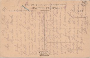 Algeria Dans le Sud Chamelier et sa monture Vintage Postcard C165