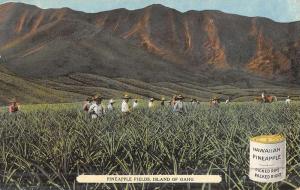 Oahu Hawaii Pineapple Fields Native Workers Antique Postcard K44921