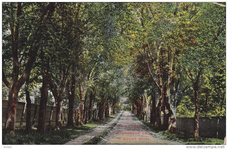 Picturesque Drive In Mount Royal, Montreal, Quebec, Canada, PU-1918