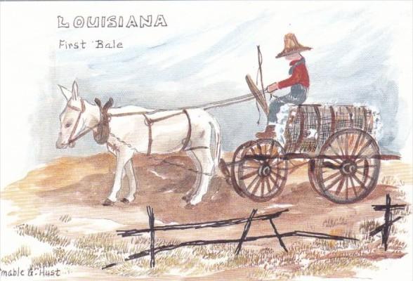 Louisiana The First Bale by Mable G Hust