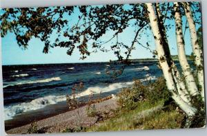 Greetings from Christmas MI Birches on the Beach c1958 Postcard Q30