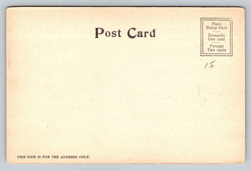 Westminster Street  Providence  Rhode Island Postcard