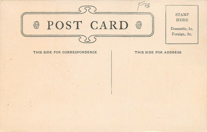 LPS83 Columbus Ohio OH Postcard Olentangy Park