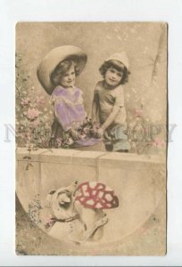 431969 Children Jack Russell terrier mushroom 1908 RPPC Rogachev Mogilev