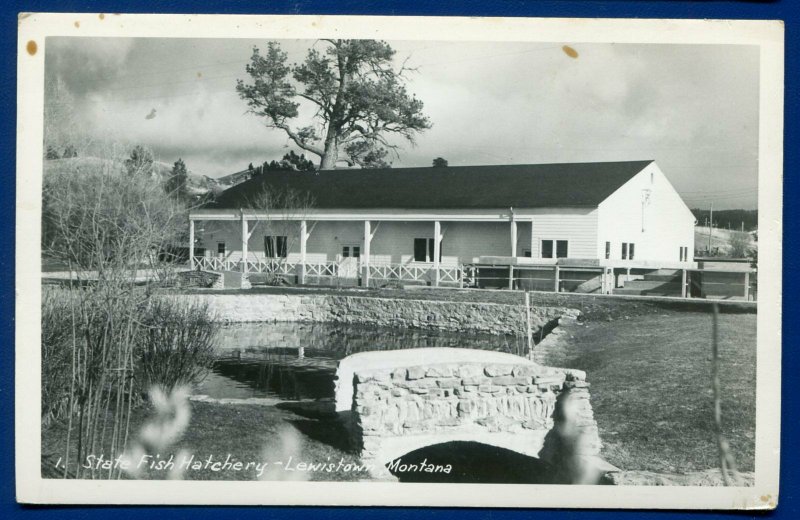 Lewistown Montana mt State Fishery Hatchery real photo postcard RPPC