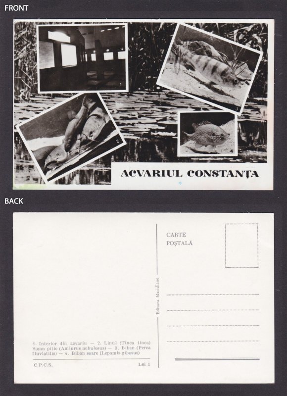 ROMANIA, Vintage postcard, Constanța Aquarium