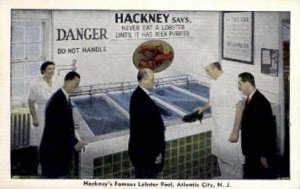 Hackneys Famous Lobster Pool - Atlantic City, New Jersey NJ Postcard