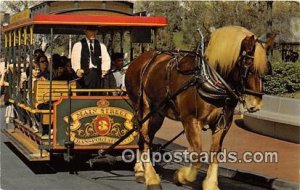 Horse Drawn Streetcar Walt Disney World 1974 