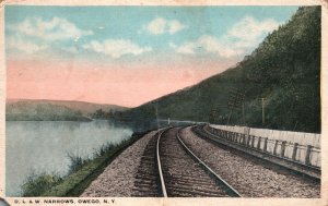 Vintage Postcard 1920'S D. L. & W. Narrows Railway Train River Owego New York NY