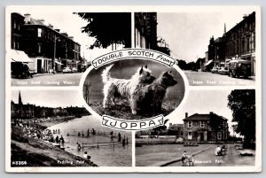 Joppa Scotland Scotty Dogs Greeting Paddling Pool Park Street Views Postcard S27