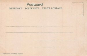 COPENHAGAN DENMARK~KRONBORGS CASTLE~1900s POSTCARD