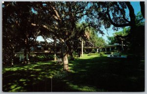 Vtg Clearwater Florida FL Siple's Garden Seat Restaurant Postcard